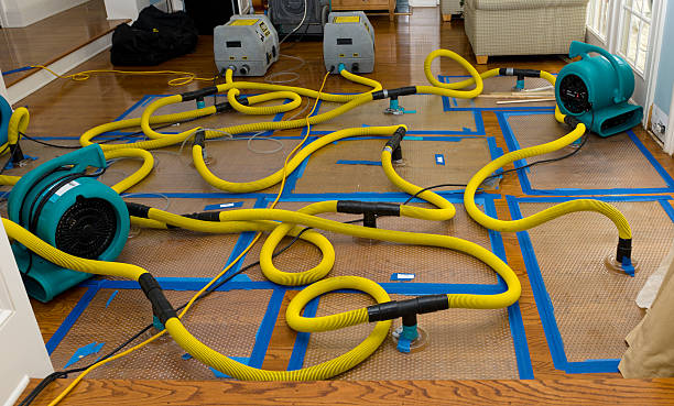 Professional Burst Pipe Water Damage technician working in Bishopville, SC